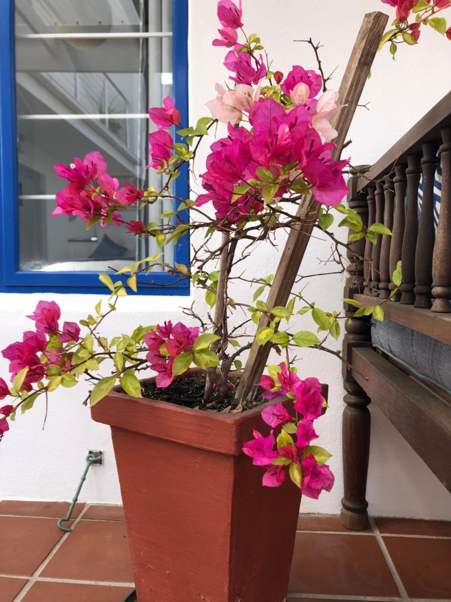 Bluesky Arniston Guest House ภายนอก รูปภาพ