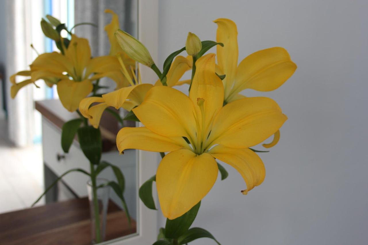 Bluesky Arniston Guest House ภายนอก รูปภาพ