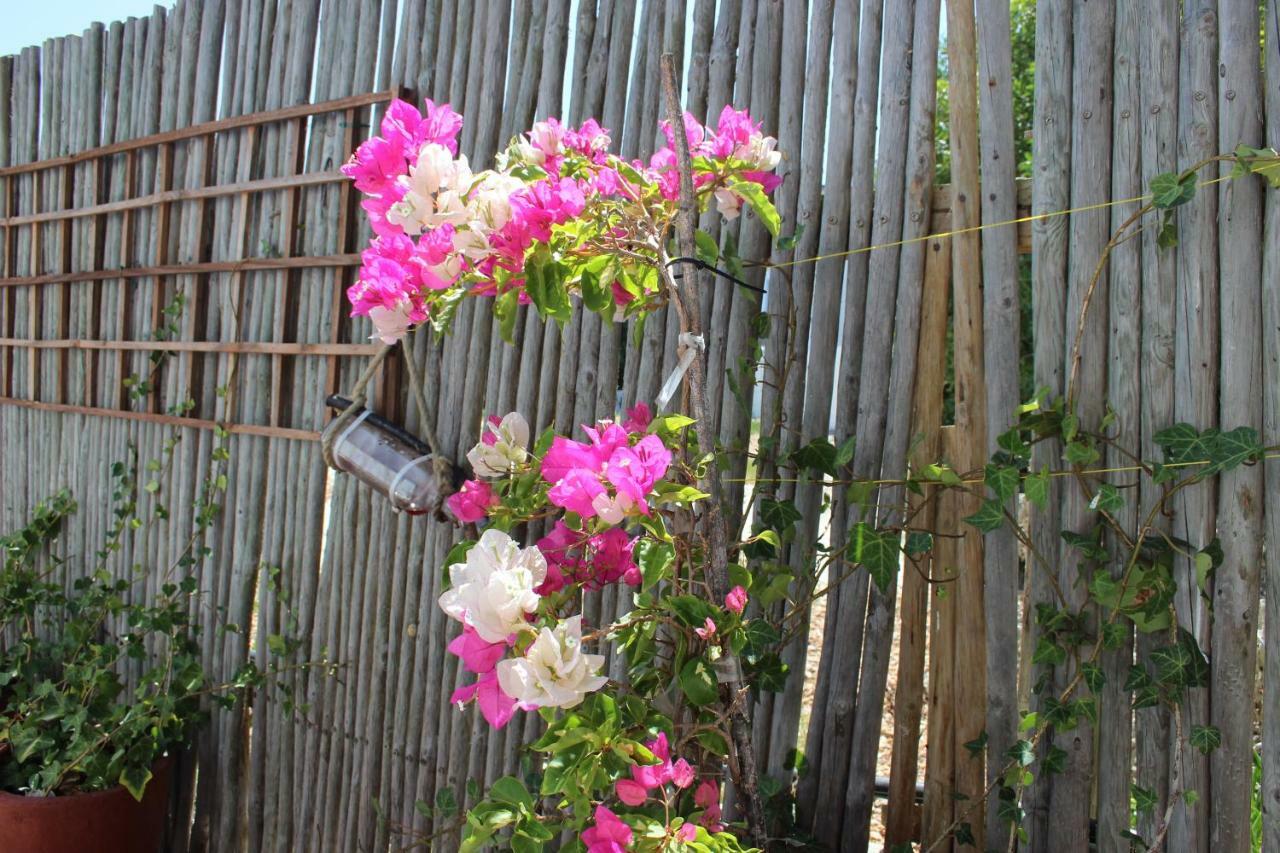 Bluesky Arniston Guest House ภายนอก รูปภาพ