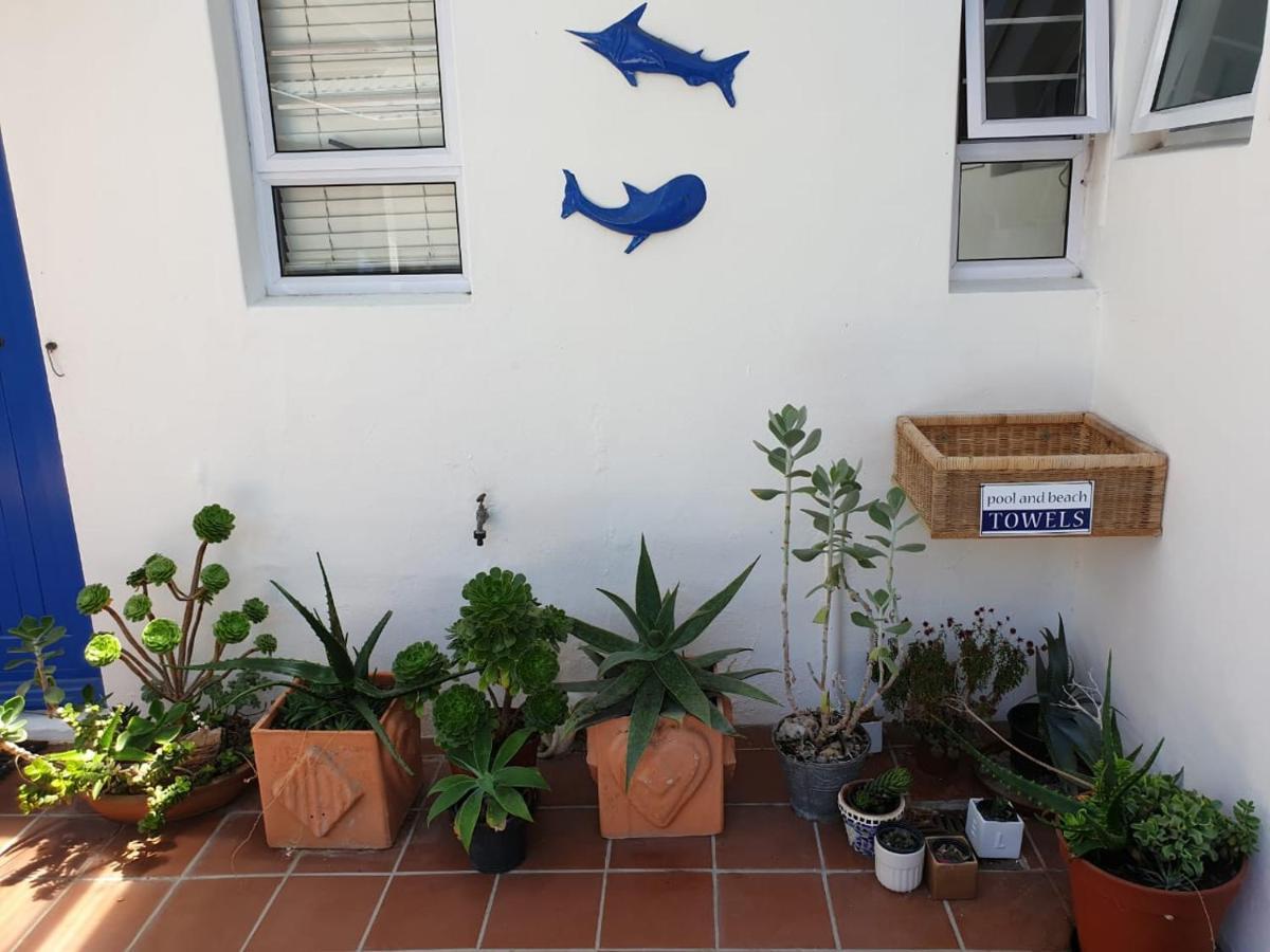 Bluesky Arniston Guest House ภายนอก รูปภาพ